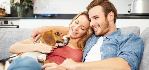 Bonne mutuelle pour chien avis Bonne mutuelle pour chien avis