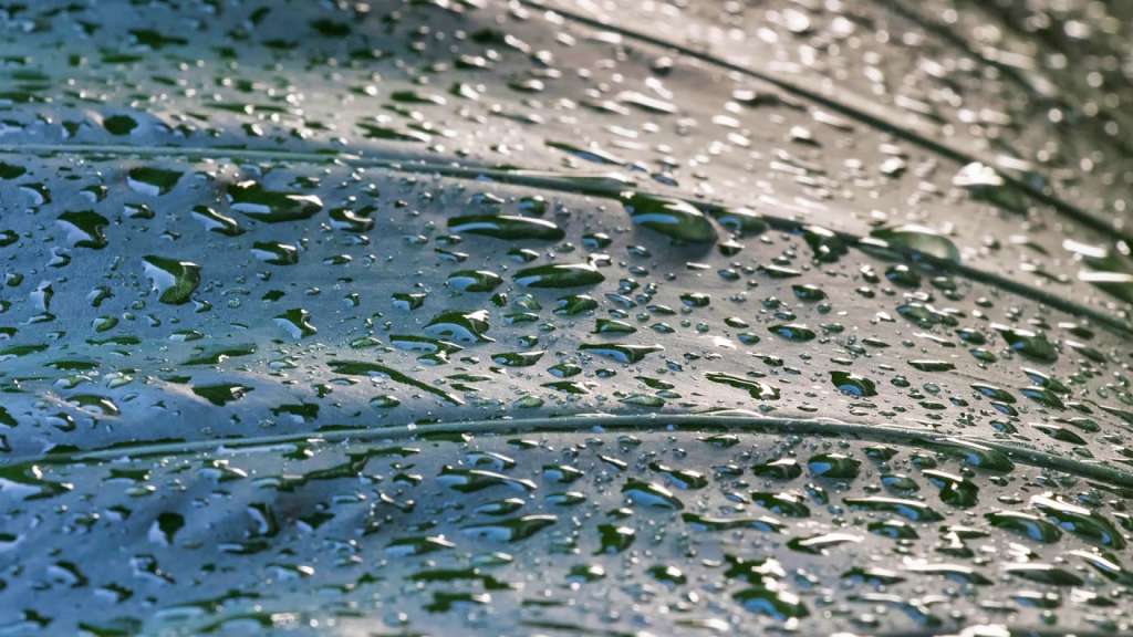 Comment vaincre l’humidité ? 1 Comment vaincre l’humidité ? 1
