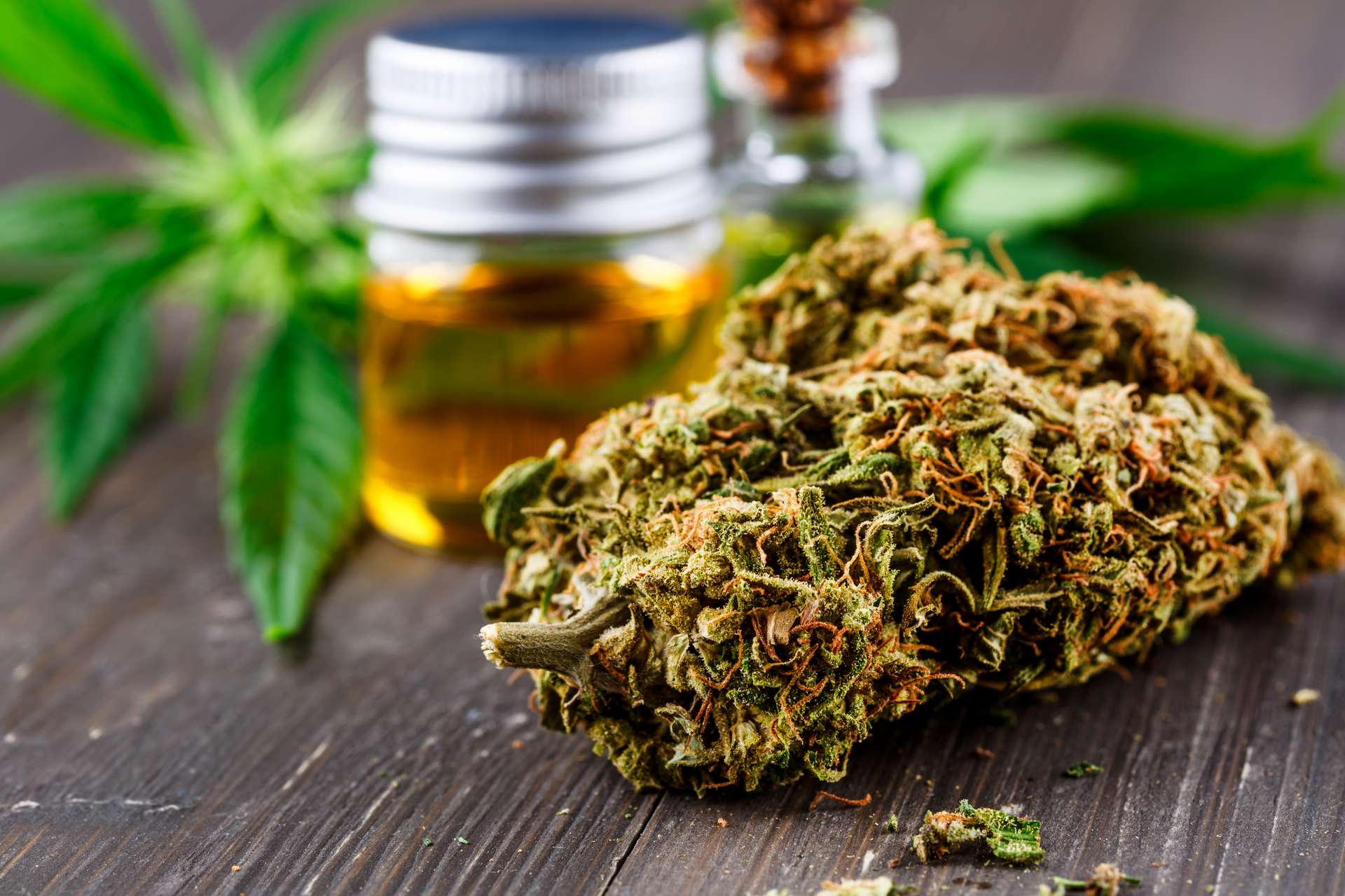 Quels sont les bienfaits du CBD Bio ?