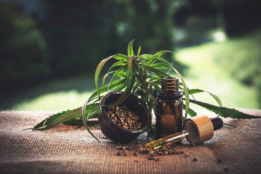 Huile de CBD : quels sont ses effets et que rechercher lors de l’achat ? 2 Huile de CBD : quels sont ses effets et que rechercher lors de l’achat ? 2